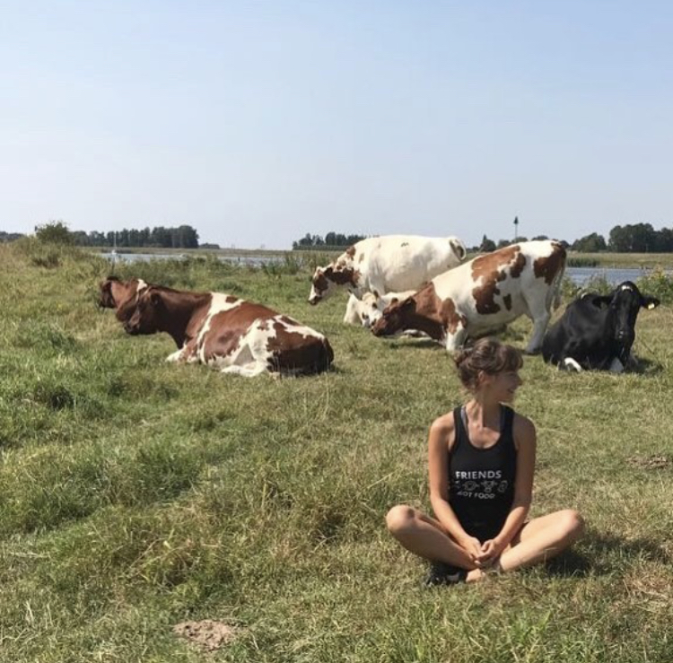 ahimsa yoga vegan vegetarian